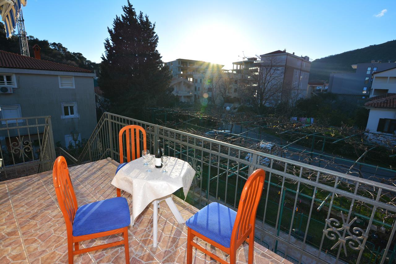 Apartments Jovana Petrovac Exteriér fotografie