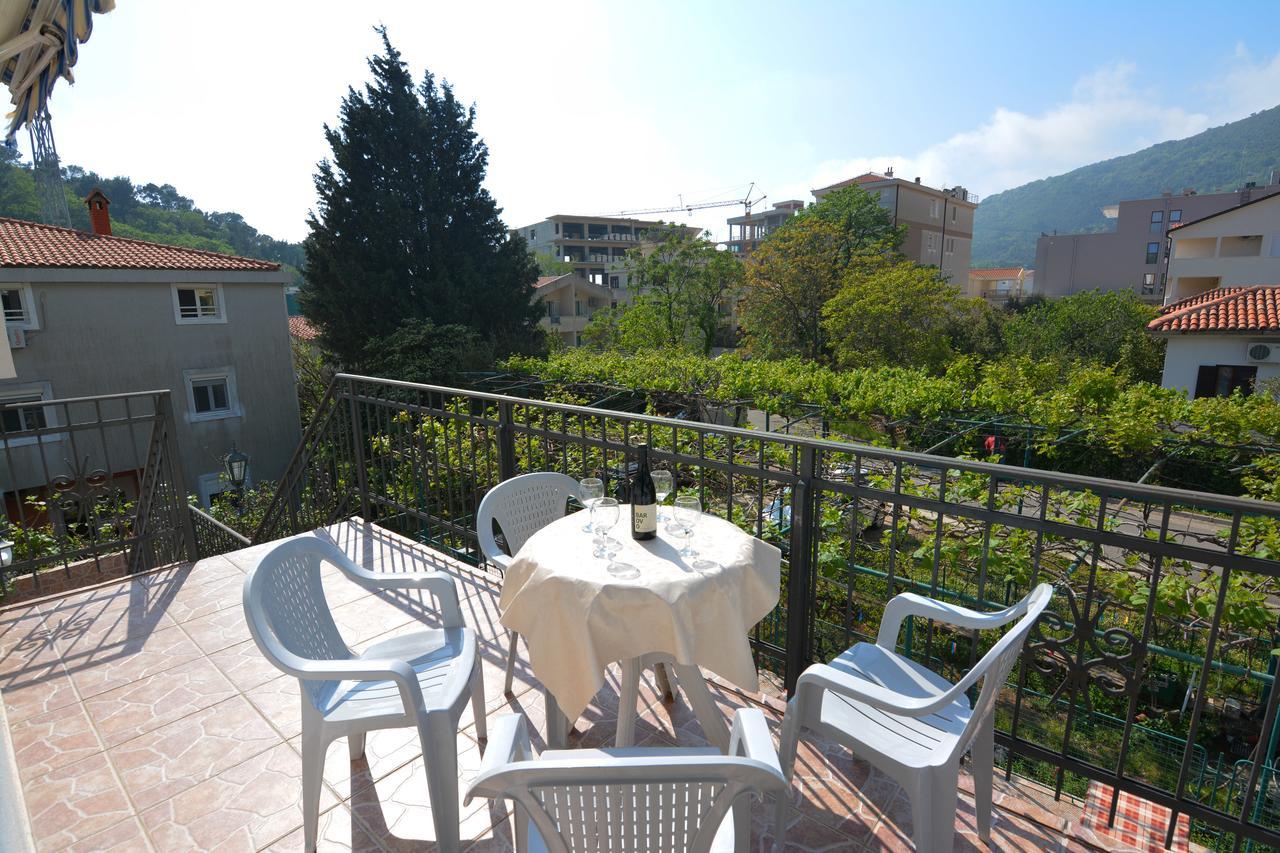 Apartments Jovana Petrovac Exteriér fotografie