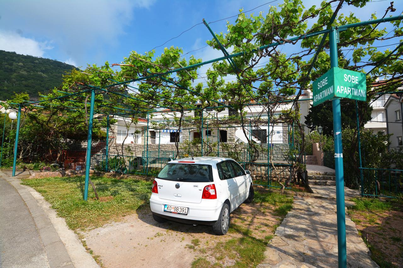 Apartments Jovana Petrovac Exteriér fotografie